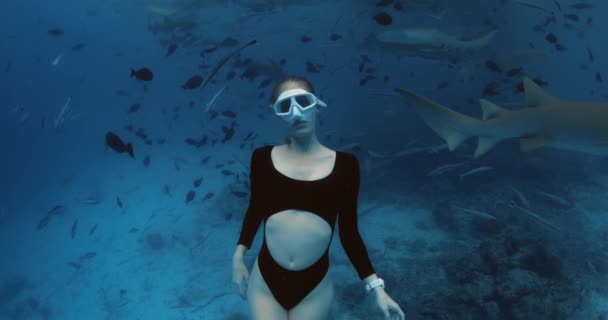 Fille Frappé Requin Attractive Femme Frediver Plonge Avec Nurse Requins — Video