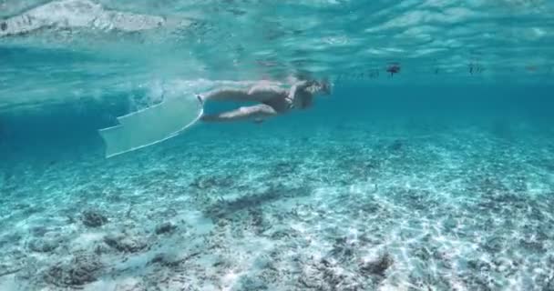 Mulher Nadando Explorando Águas Rasas Subaquáticas Mergulho Snorkel Oceano Tropical — Vídeo de Stock