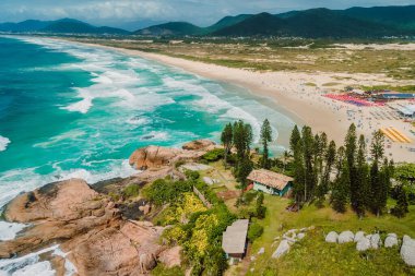 Popular holiday Joaquina beach with trees and ocean with waves in Brazil. Aerial view of coastline clipart