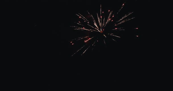 4K新年前夕烟火庆祝圈无缝真正的烟火背景 五彩缤纷的金光闪闪的焰火 夜空中闪烁着亮晶晶的灯光 — 图库视频影像