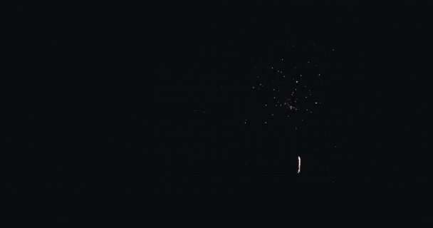 Spectacle Feux Artifice Sur Ciel Nocturne Fête Nouvel Feux Artifice — Video