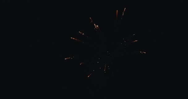 Artificii Spectacol Cerul Noapte Sărbătorirea Focurilor Artificii Ajunul Anului Nou — Videoclip de stoc