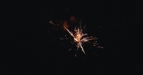 Πρωτοχρονιάτικα Πυροτεχνήματα Βρόχο Γιορτή Χωρίς Ραφή Πραγματικό Φόντο Πυροτεχνήματα Αφηρημένη — Αρχείο Βίντεο