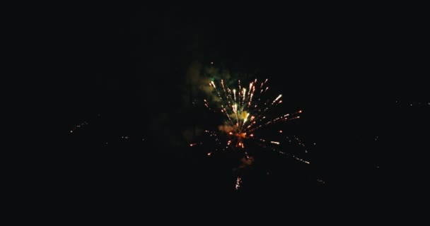 Espectáculo Fuegos Artificiales Cielo Nocturno Celebración Los Fuegos Artificiales Año — Vídeo de stock