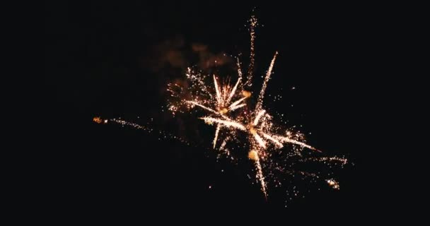 Szilveszteri Tűzijáték Ünnepi Hurok Zökkenőmentes Valódi Tűzijáték Háttér Absztrakt Multicolor — Stock videók