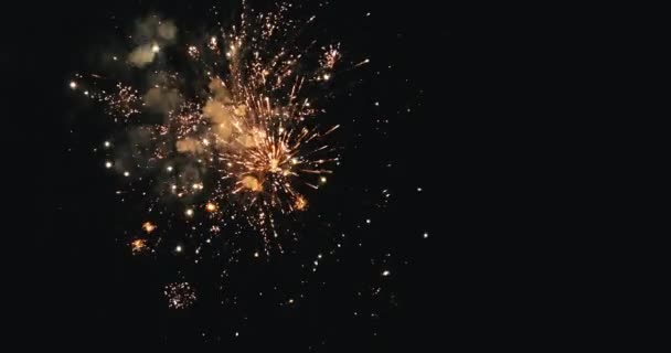 Año Nuevo Fuegos Artificiales Celebración Bucle Sin Fisuras Fondo Fuegos — Vídeo de stock