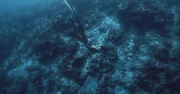 Женщина Фридайвер Плавниками Плавает Глубокому Океану Фридайвинг Чистом Голубом Океане — стоковое видео