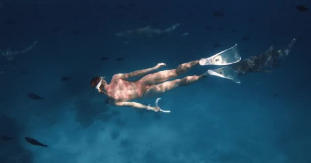 Γυναίκα Διακοπές Κολυμπά Τους Καρχαρίες Και Τροπικά Ψάρια Μπλε Θάλασσα — Αρχείο Βίντεο