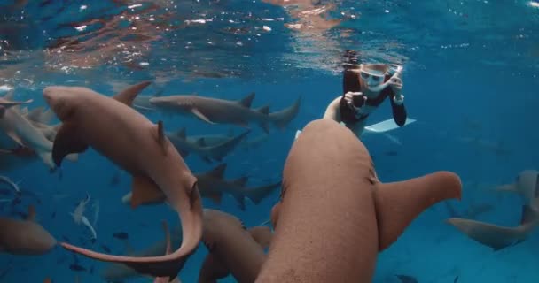 Femme Apnée Nageant Avec Beaucoup Infirmières Requins Enregistrant Des Vidéos — Video