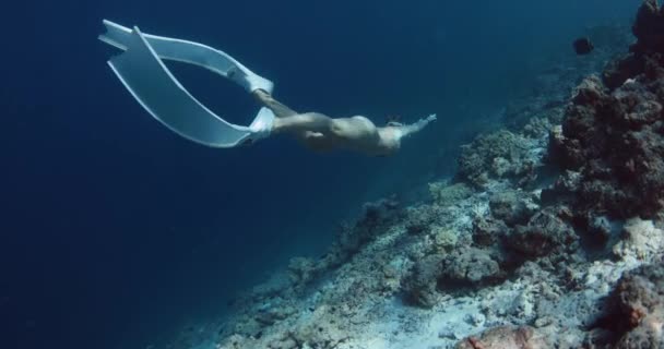 女性は深海で泳いでいるフィンと共に解放された 澄んだ青い海で解放される 高品質の4K映像 — ストック動画