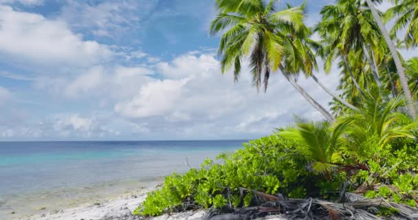 Spiaggia Tropicale Delle Maldive Sull Isola Estate Concetto Vacanza Tropicale — Video Stock
