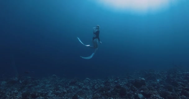 Mulher Liberta Desliza Oceano Profundo Freediving Oceano Azul Imagens Alta — Vídeo de Stock