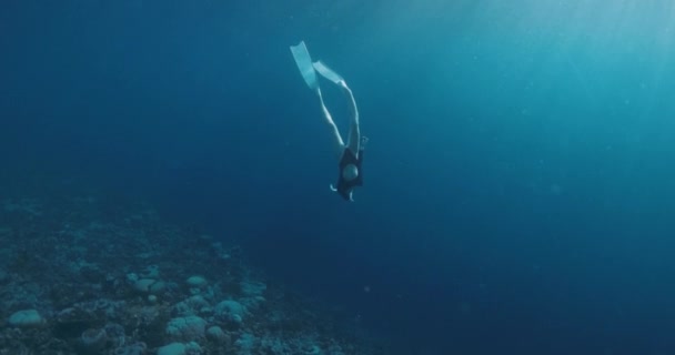 Apnea Donna Con Pinne Che Nuotano Sull Oceano Profondo Appuntamento — Video Stock