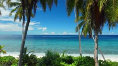 Maldivler adaları tropikal plajlar, palmiyeler ve mavi sakin okyanuslar. Hava aracı görüntüsü. Yüksek kalite 4k görüntü