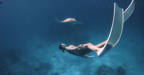Atractiva Mujer Libre Nadando Con Rayo Océano Azul Las Maldivas — Vídeos de Stock