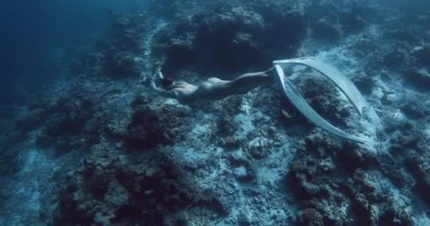 Vrouw Vrij Duiker Zwemmen Glijdt Diepe Oceaan Buurt Van Koraalrif — Stockvideo