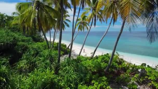 Maledivy Ostrovy Tropická Pláž Palmami Modrým Oceánem Letecký Pohled Mezi — Stock video