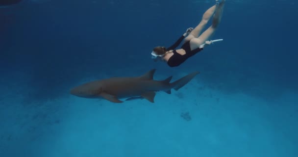 女性はモルディブの青い海でナースサメと水中を泳いでいた 高品質の4K映像 — ストック動画