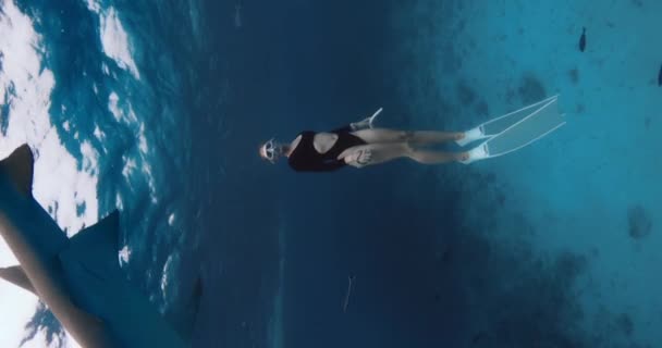 魅力的な女性はモルディブの青い海でナースサメや魚と水泳をしました 高品質の4K映像 — ストック動画
