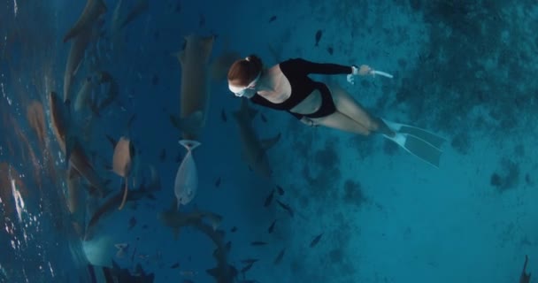 Nadar Con Tiburones Nodriza Mar Azul Tropical Las Maldivas Mujer — Vídeos de Stock