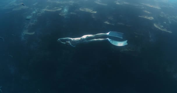 Woman Freediver Glides Deep Tropical Sea Girl Swims Underwater Backdrop — Stock Video
