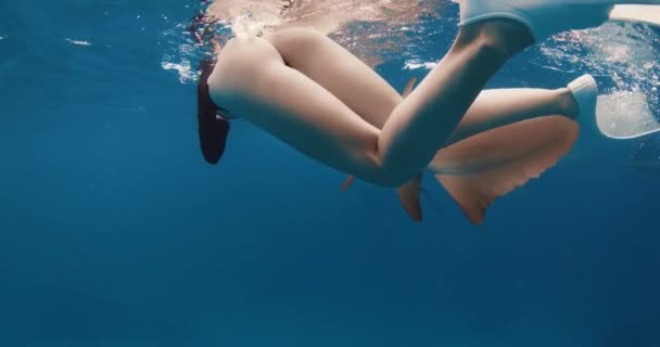 Mulher Atraente Nadando Com Tubarões Enfermeira Peixes Oceano Azul Nas — Vídeo de Stock