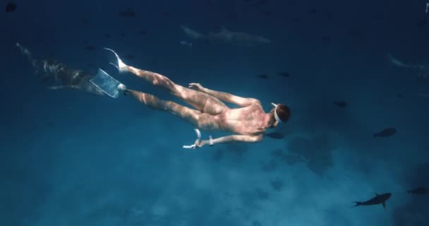 Плавание Акулами Медсестрами Тропическом Море Мальдивах Женщина Фридайвер Водой Кучей — стоковое видео