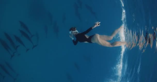 Profesjonalna Kobieta Freediver Płetwach Nurkuje Głębinach Dla Delfinów Pod Pływanie — Wideo stockowe