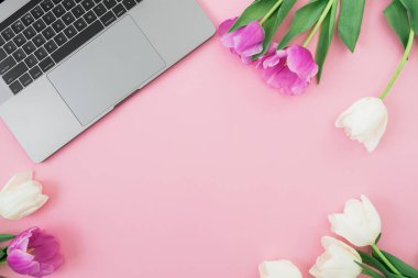 Laptop ve pembe arka planda lale çiçekleri. Düz yatıyordu. Üst Manzara. Kadın uzak çalışma konsepti.