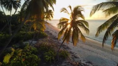 Gün batımı güneşli palmiyeler arasında Maldivler 'in güzel cennet manzarası. Yaz ve seyahat tatili konsepti. Yüksek kalite 4k görüntü