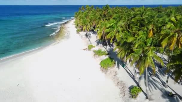 Maledivy Ostrovy Pobřeží Oceán Tropické Pláže Palmami Letecký Pohled Vysoce — Stock video
