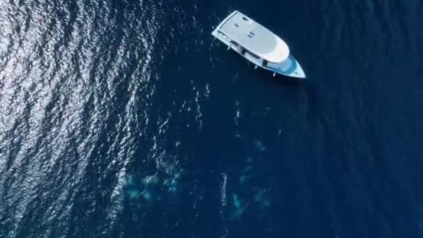 Bateau Moteur Dans Océan Bleu Bulles Par Les Plongeurs Surface — Video