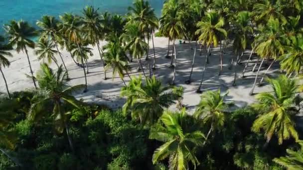 Μαλδίβες Τροπική Παραλία Φοίνικες Και Μπλε Ωκεανό Βίντεο Διακοπών Αεροφωτογραφία — Αρχείο Βίντεο