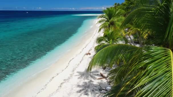 Isole Maldive Spiaggia Tropicale Con Palme Una Giornata Sole Blu — Video Stock