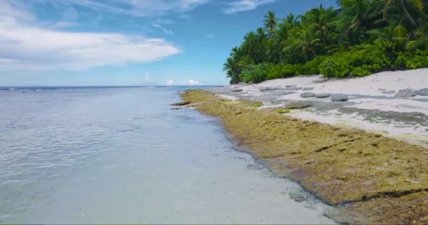 马尔代夫热带海滩 岛上有棕榈 暑假和热带假期的概念 高质量的4K镜头 — 图库视频影像