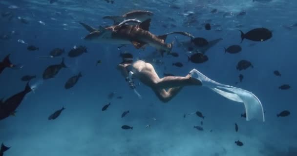 Özgür Kadın Tropikal Mavi Okyanusta Altında Hemşire Köpekbalıkları Tropikal Balıklarla — Stok video
