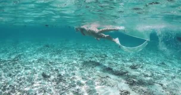 Wanita Berenang Dan Menjelajahi Perairan Dangkal Bawah Air Snorkeling Tropis — Stok Video