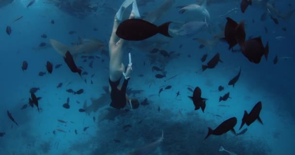 Svobodná Žena Potápí Tropicky Modrém Oceánu Plave Žraloky Maledivách Vysoce — Stock video