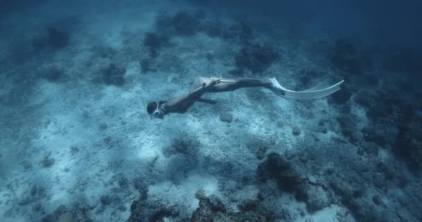 トロピカルブルーの海の深いところで 女性が解放された フリーダイバーの女の子が水中で泳いでいる 高品質の4K映像 — ストック動画
