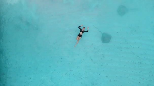 在马尔代夫 女人和黄貂鱼一起游泳 在蓝色的海洋里游泳的鱼丝 空中的景色 高质量的4K镜头 — 图库视频影像