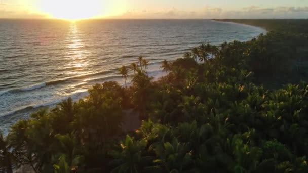 Tropische Meeresküste Mit Palmen Und Warmen Sonnenauf Oder Untergangstönen Auf — Stockvideo