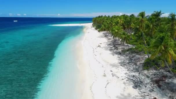 Мальдивские Острова Тропический Пляж Пальмами Солнечный День Голубой Океан Вид — стоковое видео