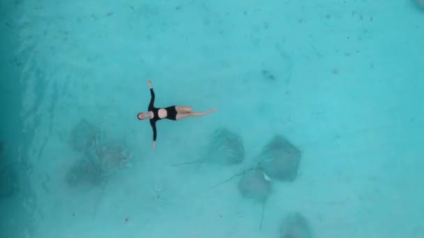 モルディブの迷路で泳いでいる女性 青い海で泳ぐスティングレイの魚 空中観察 高品質の4K映像 — ストック動画
