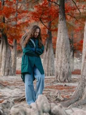 Tacsodium ağaçlarının arasında parkta yürüyen bir kadın. Sonbahar ormanlarındaki insanlar.