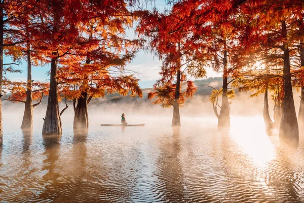 Woman Stand Paddle Board Quiet Lake Morning Fog Fall Taxodium — Stock Photo, Image