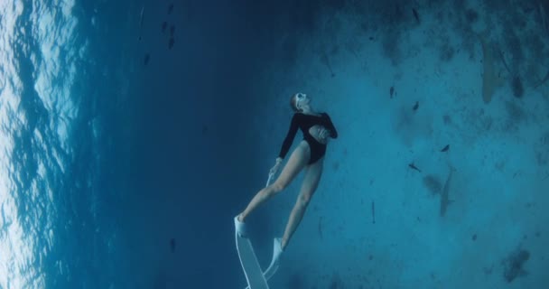 Κολύμπι Καρχαρίες Νοσοκόμα Στην Τροπική Θάλασσα Στις Μαλδίβες Γυναίκα Ελεύθερη — Αρχείο Βίντεο