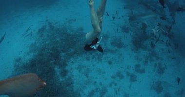 Maldivler 'deki hemşire köpekbalıklarıyla berrak bir tropikal suda serbest çalışan zayıf bir kadın. Yüksek kalite 4k görüntü