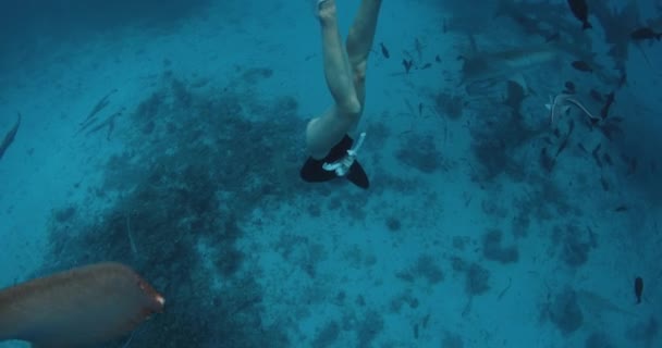 Тонкая Женщина Фридайвер Чистой Тропической Воде Акулами Медсестрами Мальдивах Высококачественные — стоковое видео
