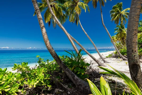 Tropischer Luxusstrand Auf Den Malediven Urlaubsbanner Mit Blauem Meer — Stockfoto