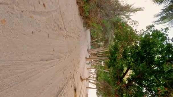 Прогулянка Від Першої Особи Тропічному Піщаному Пляжі Кокосовими Долонями Теплим — стокове відео